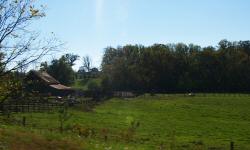 Barn and Field